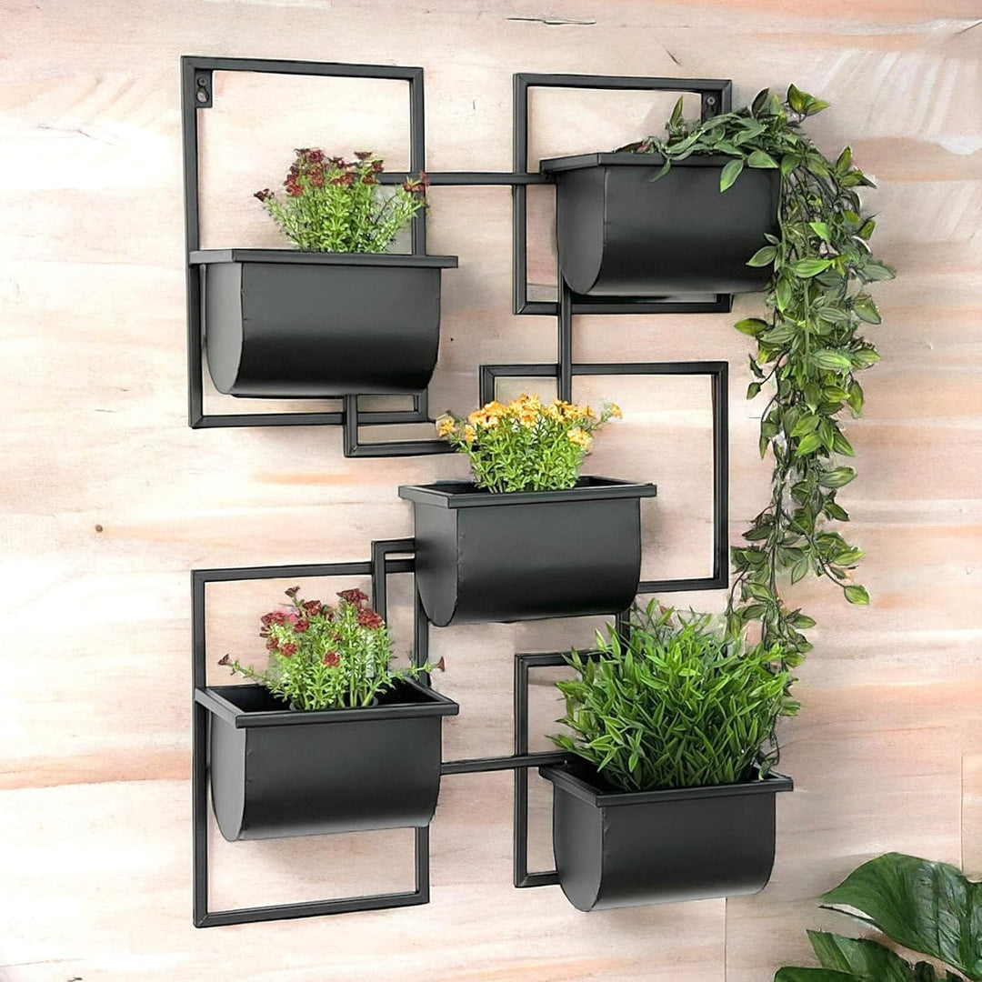 DanDiBo Kräuterregal Küche Wand Metall Schwarz 96525 Wandregal Blumenregal Pflanzenhalter Wandblumen