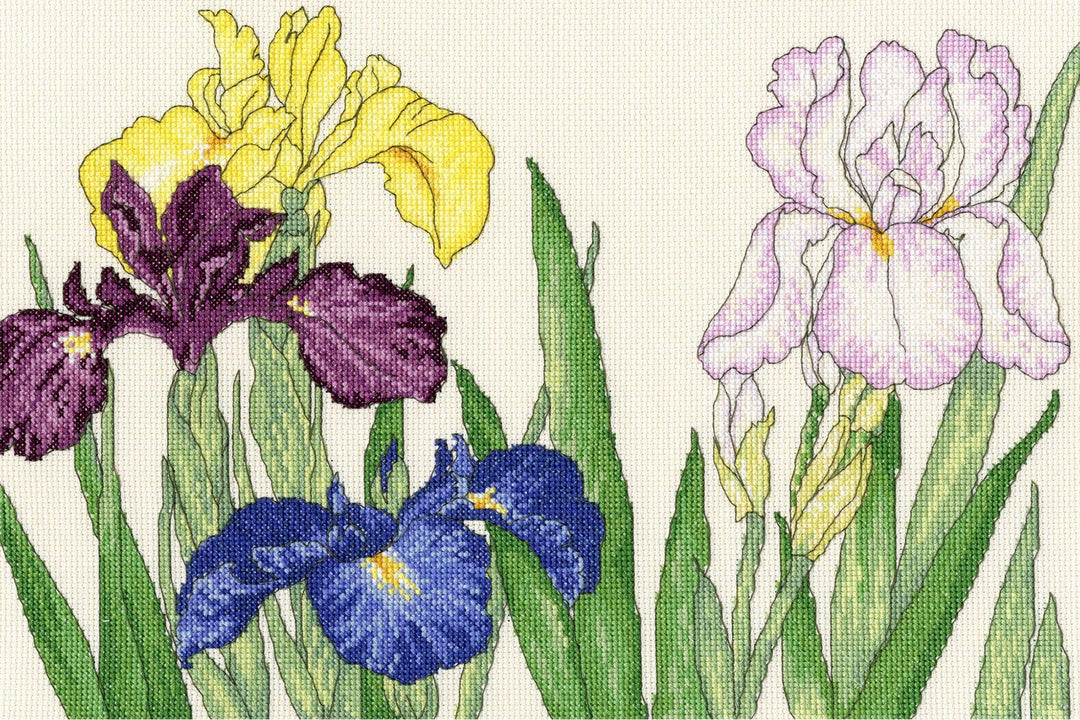 Bothy Threads Kreuzstich-Set Iris Blühten, 36x24cm, XBD14, Zählmuster