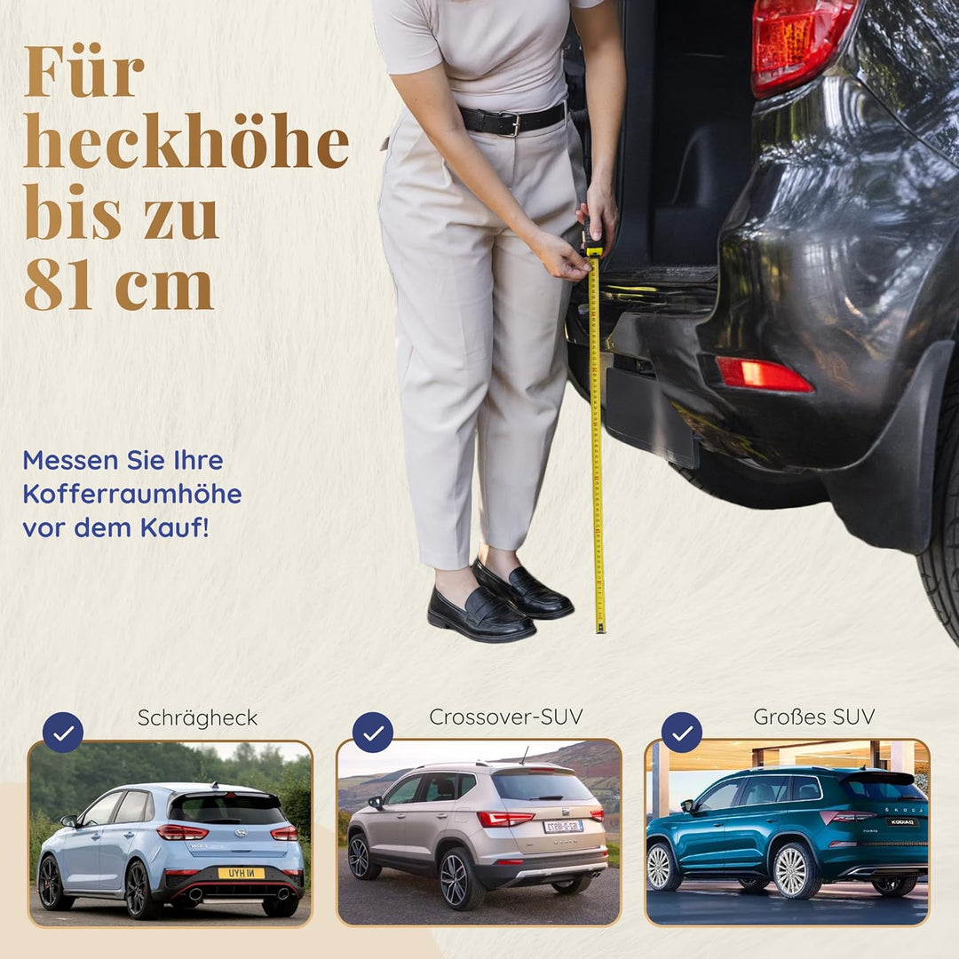 Hunderampe Auto Klappbar – 174 cm Lang & 38 cm Breit – rutschfeste Gummi Rampe für grosse Hunde – St