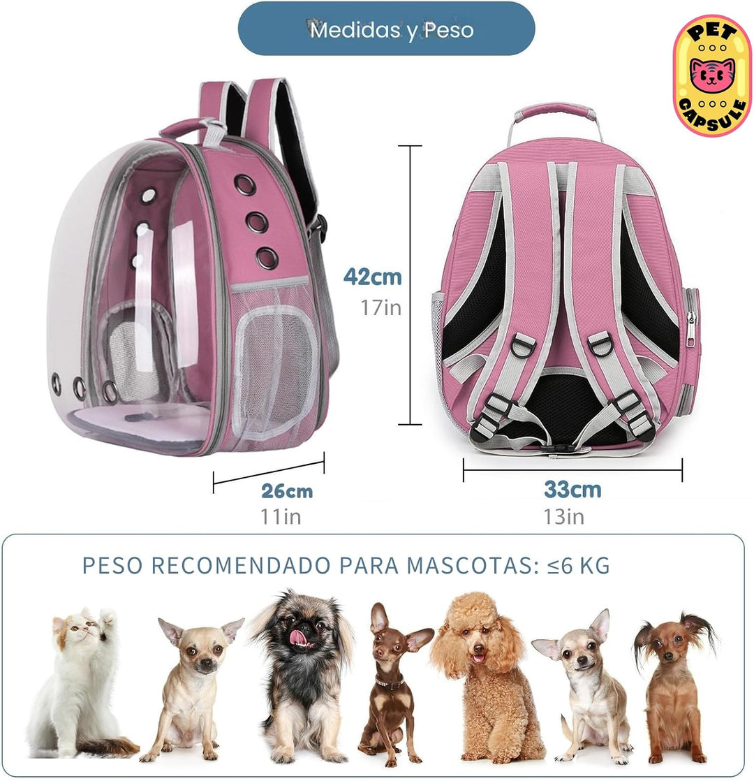 Rucksack mit Kapsel für Haustiere, transparenter Blasenrucksack für Katzen und kleine Hunde, atmungs