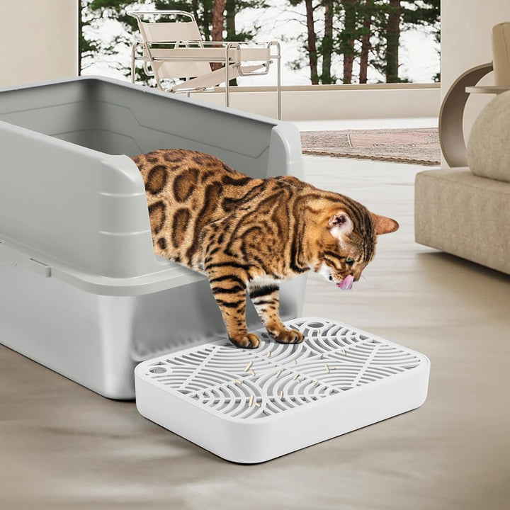 Kunststoff Katzentreppe, Katzentoilettenrampe mit Filterfunktion, Katzenstreu-Filterpedal für Kätzch