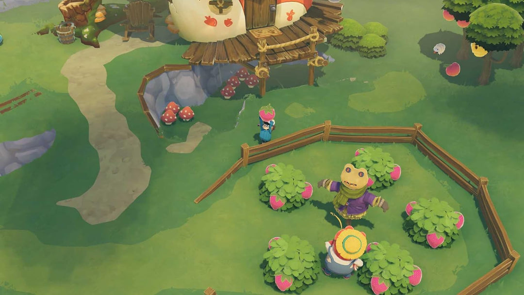 Wild River Time on Frog Island - [Nintendo Switch], Nintendo Switch