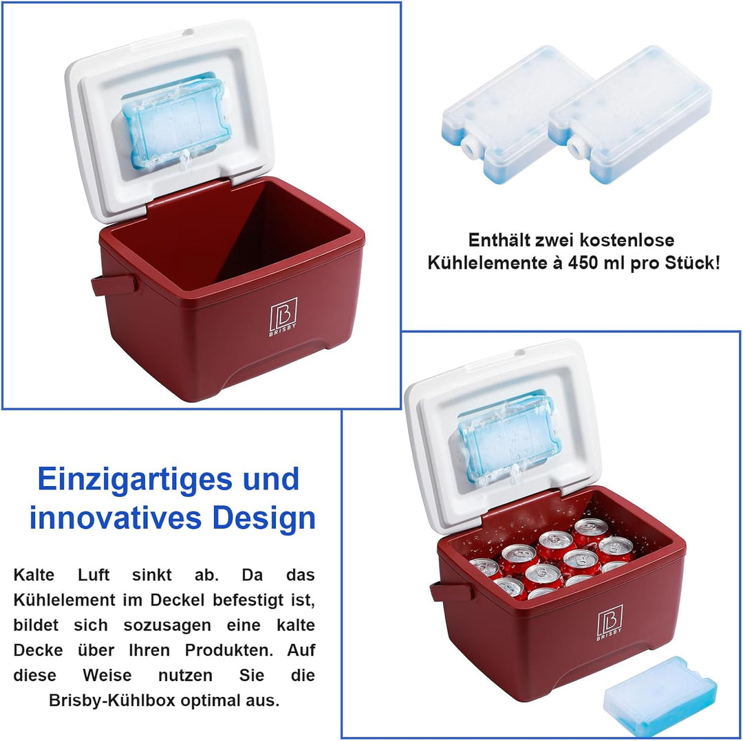 Brisby Kühlbox 8 Liter - 18 Stunden warm - 40 Stunden kühl - Inklusive 2 grosse Kühlelemente 450 ML