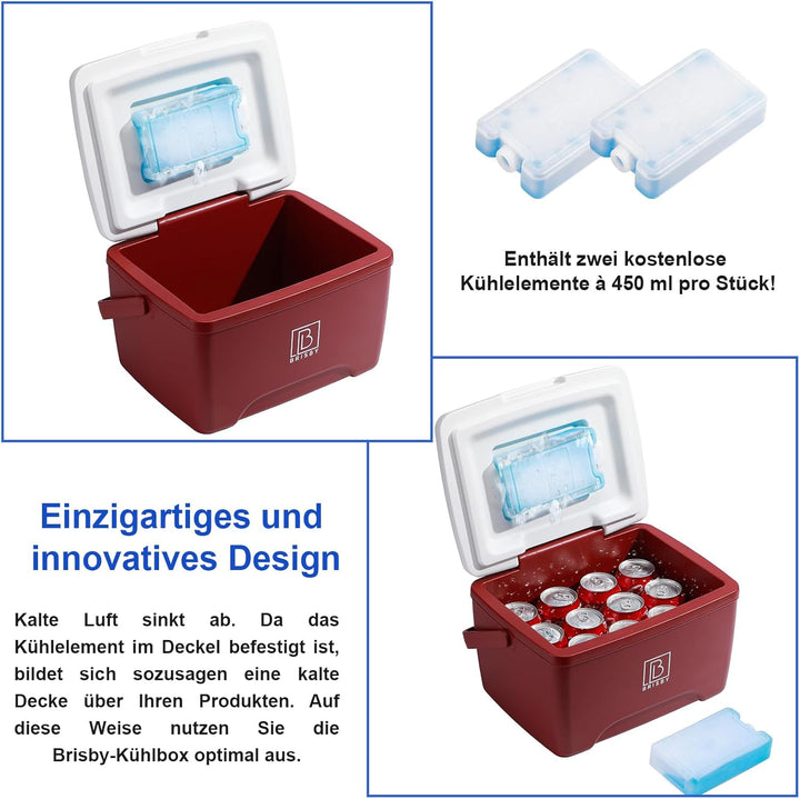 Brisby Kühlbox 8 Liter - 18 Stunden warm - 40 Stunden kühl - Inklusive 2 grosse Kühlelemente 450 ML