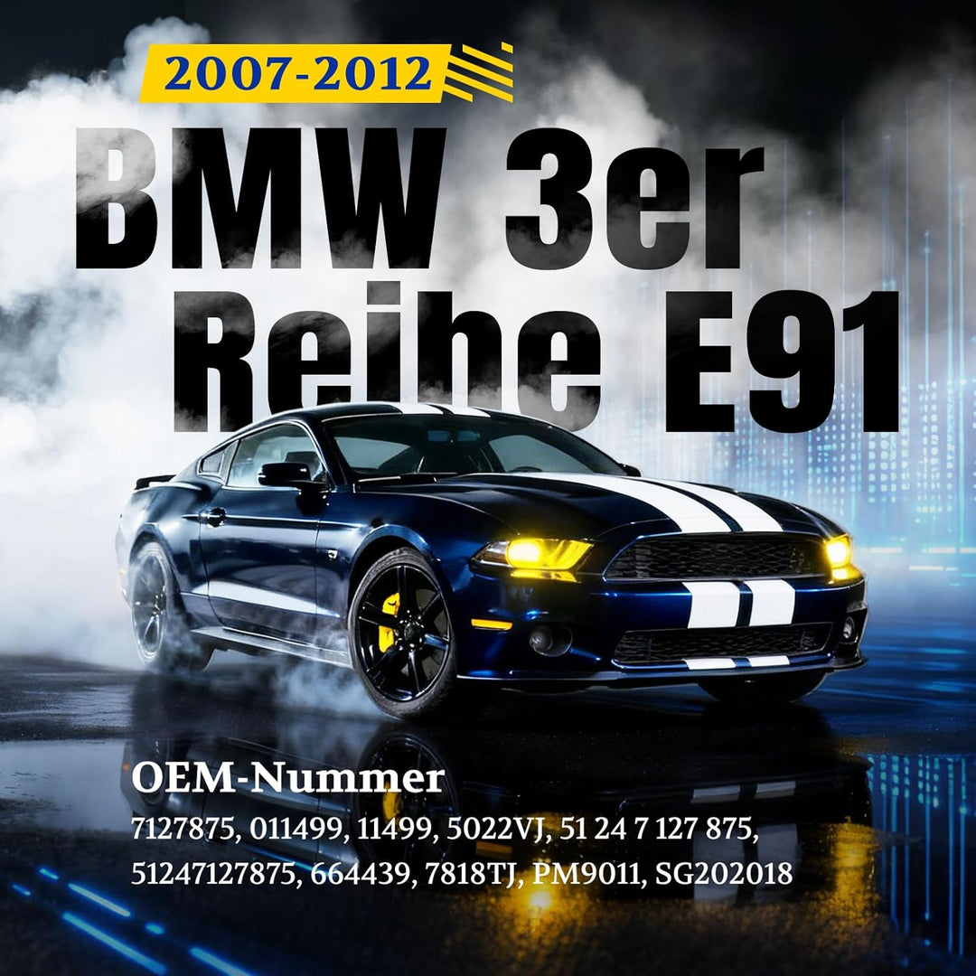 ARANA Heckklappendämpfer Gasdruckfeder für BMW 325xi/328i 2006-2012, Heckklappe Dämpfer Kofferraum G