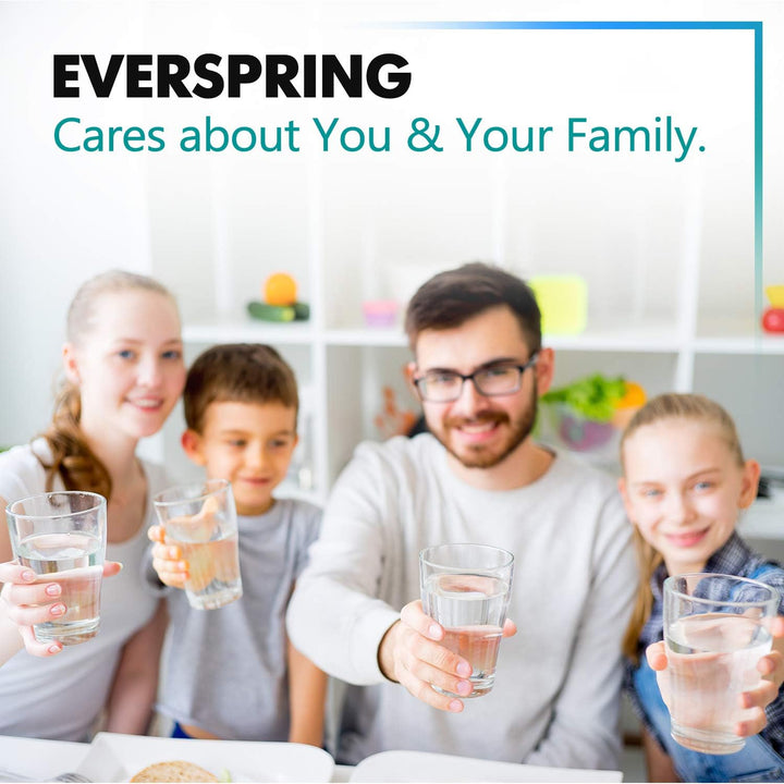 EVERSPRING Kühlschrank Wasserfilter Ersatz für Samsung DA29-00003F, DA29-00003G, Aqua Pure Plus Hafi