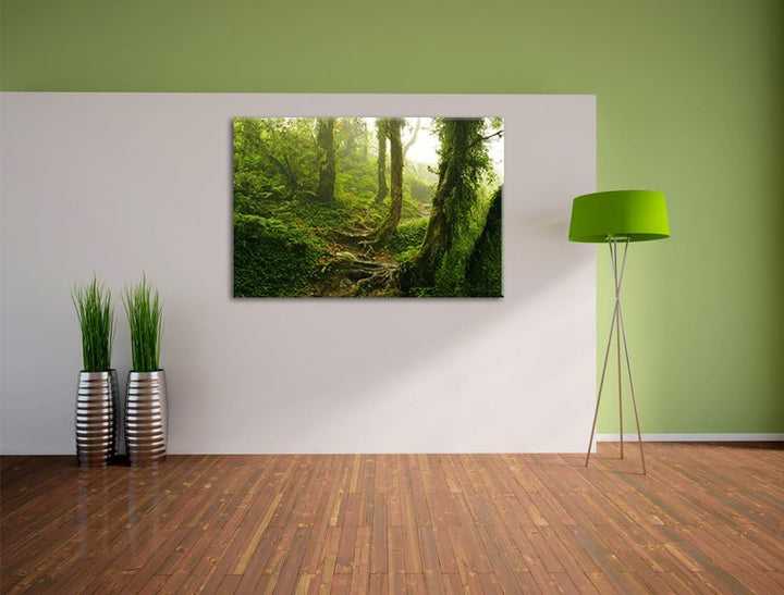 Unberührter Regenwald, Format: 100x70 auf Leinwand, XXL riesige Bilder fertig gerahmt mit Keilrahmen