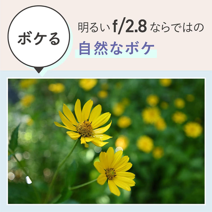 Nikon Nikkor Z 17-28mm f/2.8