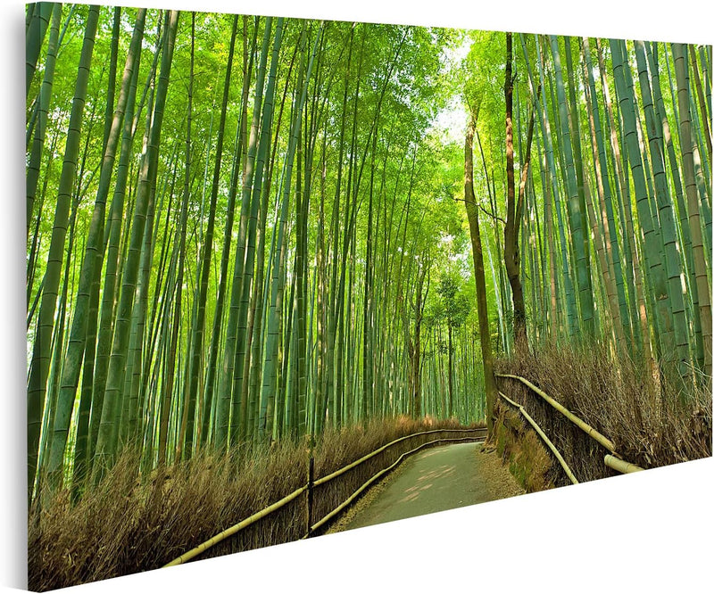 Bild auf Leinwand Berühmte Bambushain Bei Arashiyama Kyoto Japan Wandbild Poster Kunstdruck Bilder F