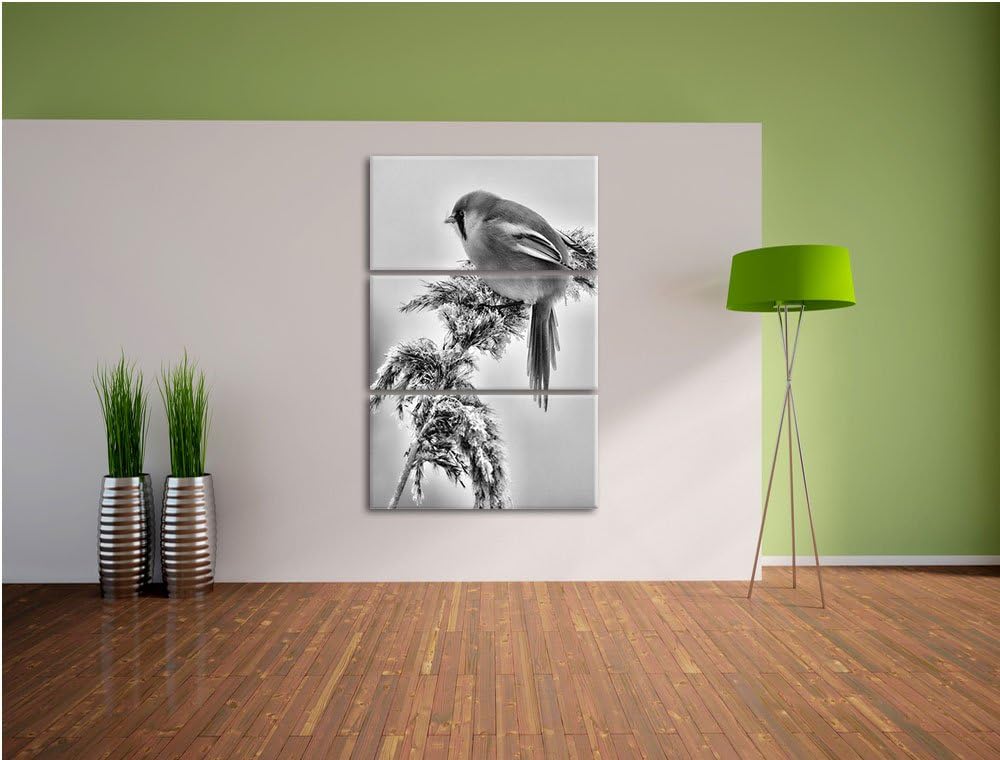 Pixxprint Vogel auf Weizen im Winter als Leinwandbild/Grösse: 3 Teilig (120x80) cm/Wandbild/Kunstdru