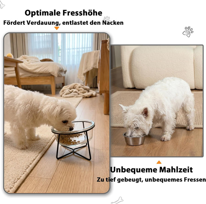 Katzennapf Hundenapf - Futternapf Katze Hund - Katzennapf Erhöht mit Ständer - Fressnapf Wasser Futt