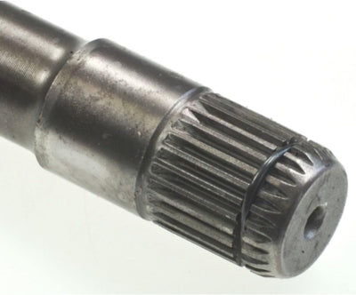 Spidan