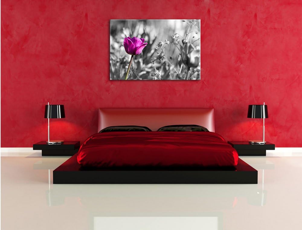 Pixxprint Blumen im Sonnenschein B&W Detail, Format: 100x70 auf Leinwand, 100x70