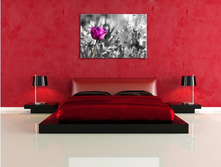 Pixxprint Blumen im Sonnenschein B&W Detail, Format: 100x70 auf Leinwand, 100x70