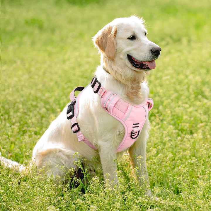 HEELE Hundegeschirr ohne Zug, Brustgeschirr für grosse Hund, einstellbares reflektierendes Hunde Ges