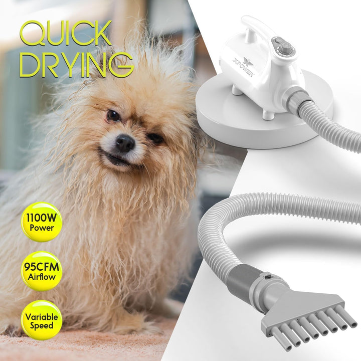 Dog Vacuum & Dryer for Shedding Grooming Quiet & Safe Grooming Set for All Dogs, Cats and Pets (B-11
