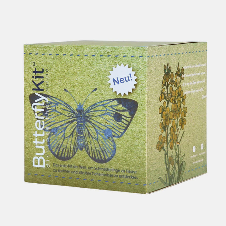 ButterflyKit, das Kit für die Zucht von Schmetterlingen der Gattung 'Grosser Kohlweissling' für zu H