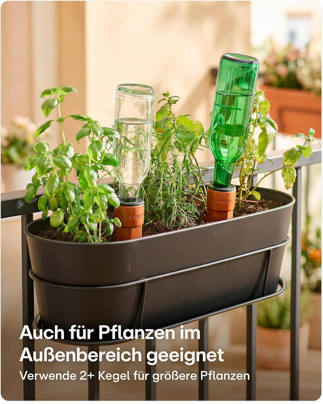 Praknu 6x Tonkegel Bewässerung Gross – Bis zu 14 Tage – Auslaufsicherem mit Adapter – Bewässerung fü
