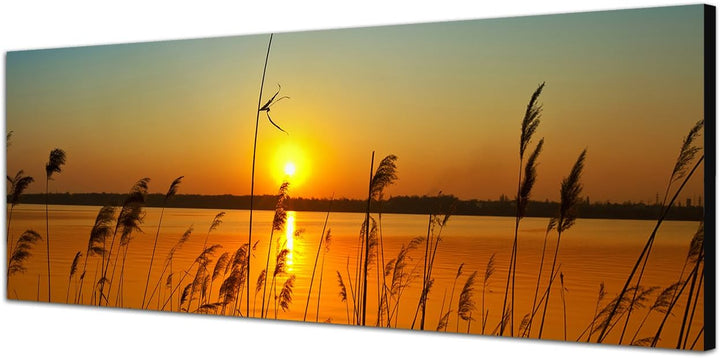 Paul Sinus Art Panoramabild XXL auf Leinwand und Keilrahmen 180x70cm Fluss Gräser Sonnenuntergang Hi
