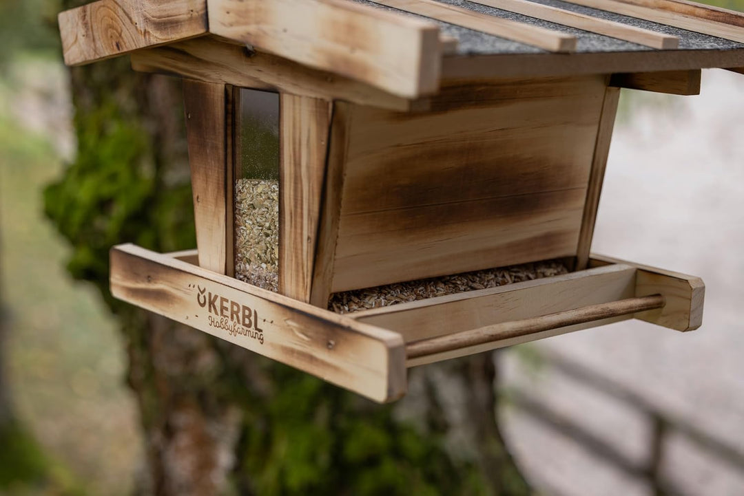 Kerbl Hobbyfarming Vogelfutterhaus, Aus Holz, Mit Glassichtfenster, Wetterfestem Dach, Robuste Korde