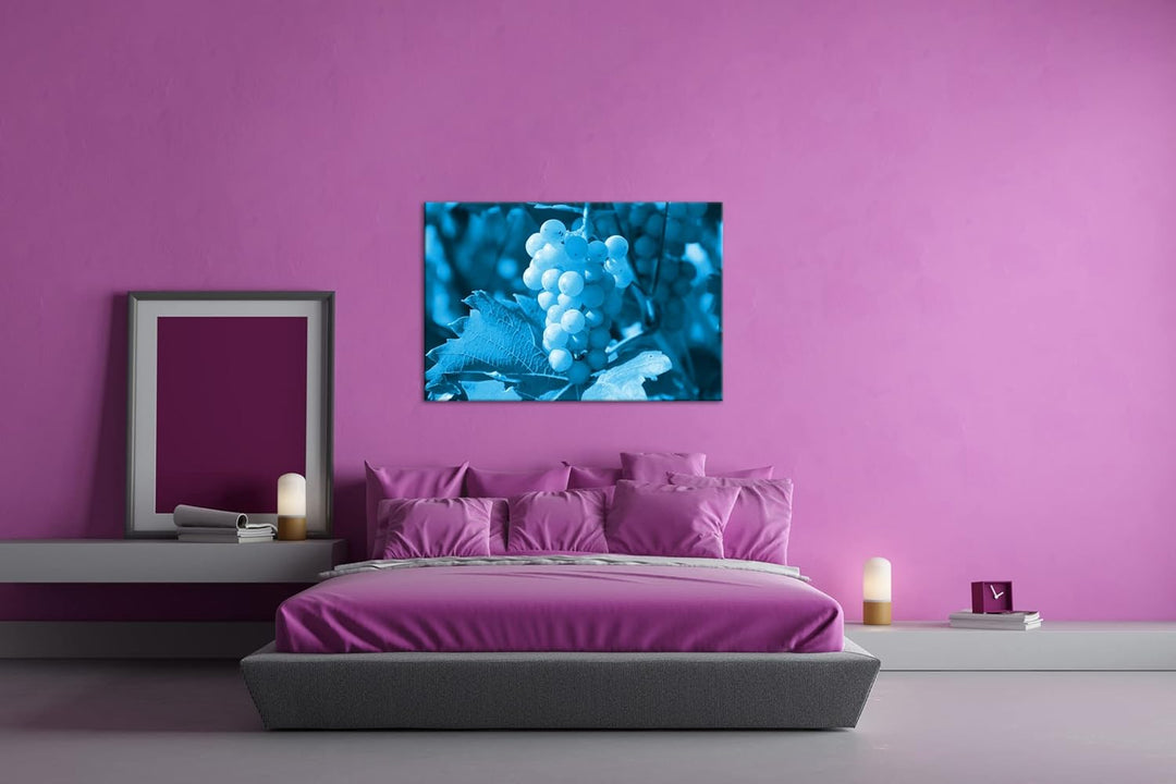 deyoli frische erntereife Weintrauben Format 80x60 Effekt: Monocrome Blau als Leinwandbild, Motiv fe