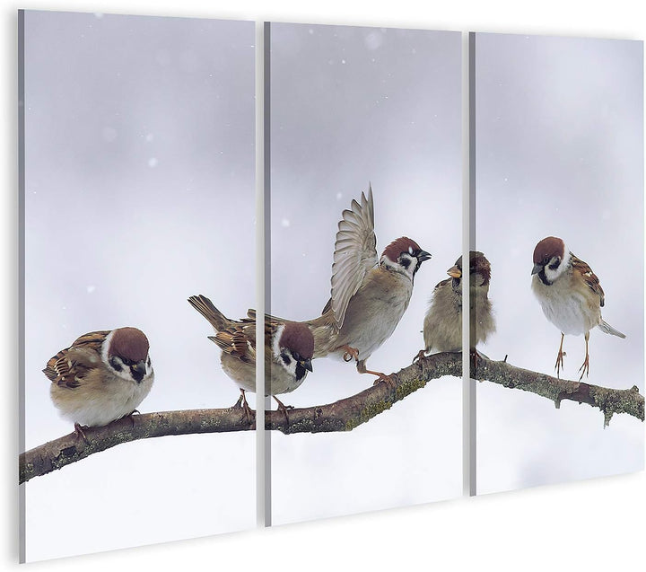 islandburner Bild auf Leinwand Spatzen Winter Verschneit Bilder Wandbilder Poster, Leinwand 130x80cm