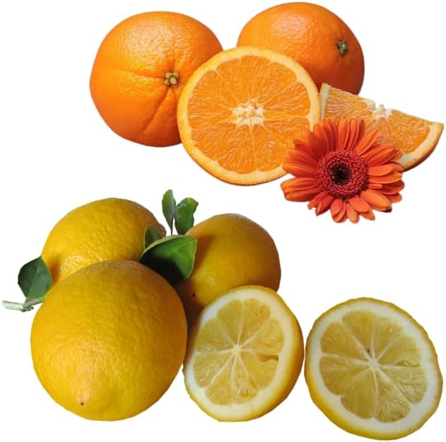 Dufte Momente | Dampfbad Emulsion 3 Liter Orange - Zitrone | geprüfte Qualität | mit naturreinen und