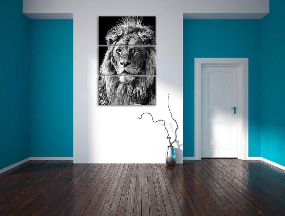 Pixxprint beeindruckender Löwe als Leinwandbild/Grösse: 3 Teilig (120x80) cm/Wandbild/Kunstdruck/fer