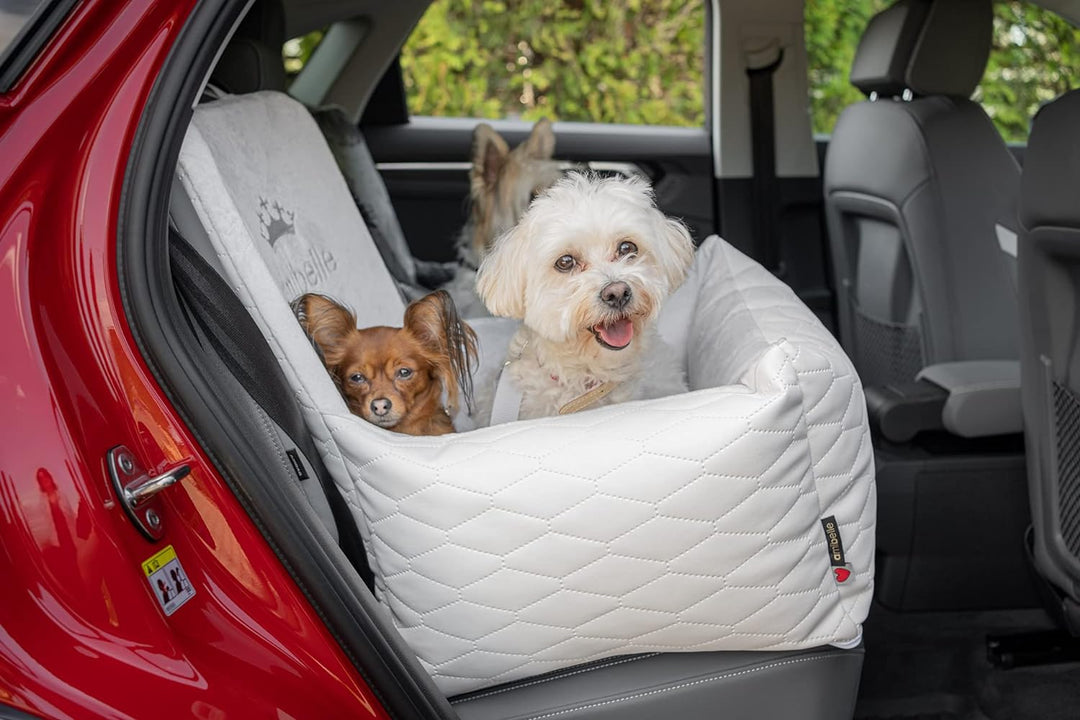 Luxuriös Hunde Auto Sitz | Autositz für Hunde, Rückbank, Vordersitz | Universal Waschbar Hundeautosi