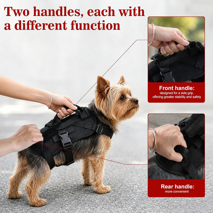 Anti-Zug Hundegeschirr, Schwarz, S | Verstellbare Passform für Kleine und Mittelgrosse Hunde, Weiche