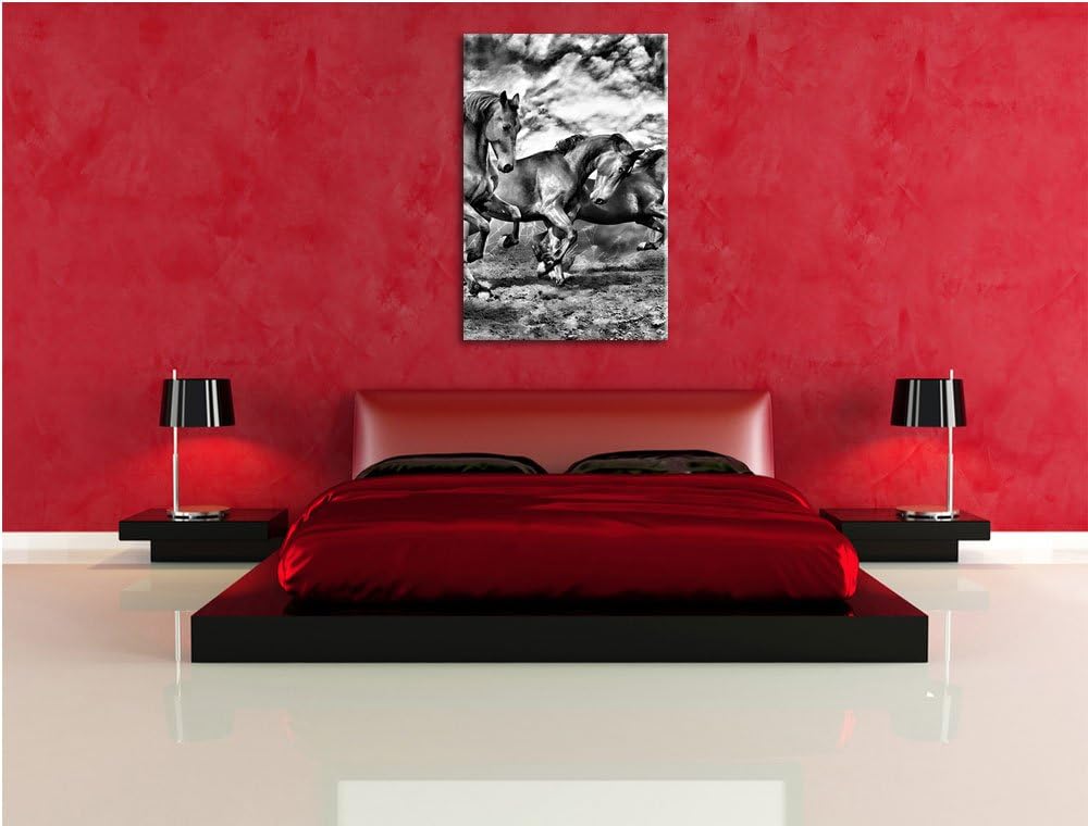 Monocrome, Wildpferde , Format: 100x70 auf Leinwand, XXL riesige Bilder fertig gerahmt mit Keilrahme