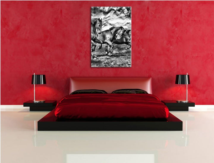 Monocrome, Wildpferde , Format: 100x70 auf Leinwand, XXL riesige Bilder fertig gerahmt mit Keilrahme