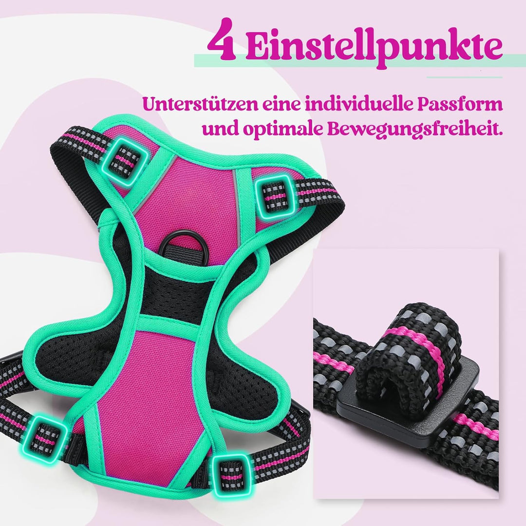 rabbitgoo Hundegeschirr Mittelgrosse Hunde, Anti Zug Geschirr mit Kontrolle, No Pull Verstellbar Hun