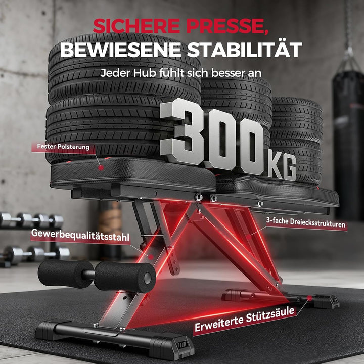 FLYBIRD Verstellbare Hantelbank, 300 kg Tragfähigkeit, Professionelle Multifunktionale Trainingsbank