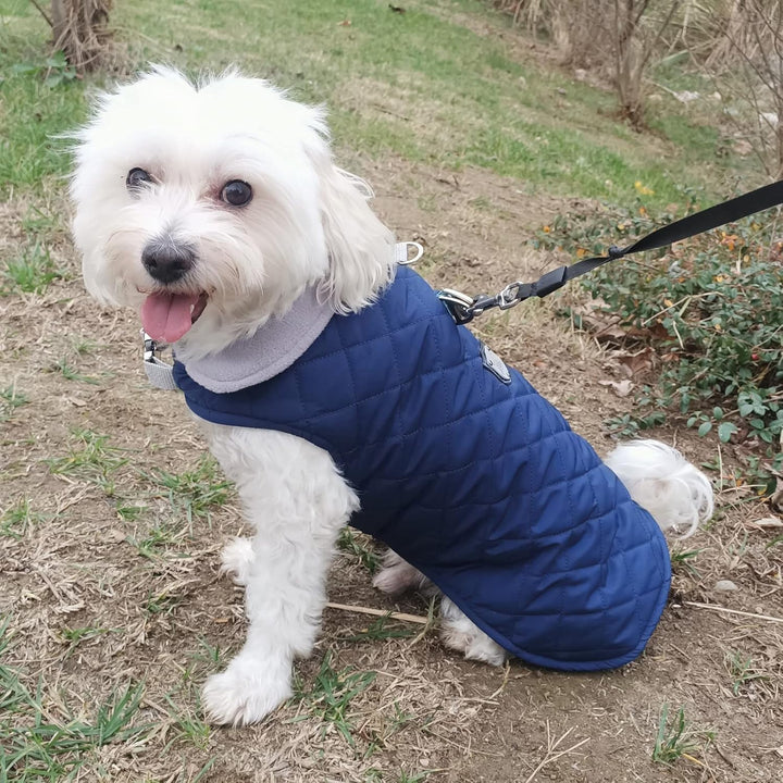 Hundemantel, Wind- und Wasserabweisend, Halsschutz, Sportbekleidung für S-M-L-XL-XXL grosse Hunde. (