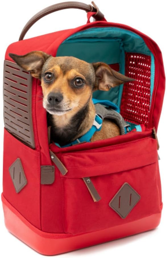 Kurgo Nomad Carrier Rucksack - Flugzeugtaugliche Hundetasche - Leichter Rucksack für Haustiere mit w