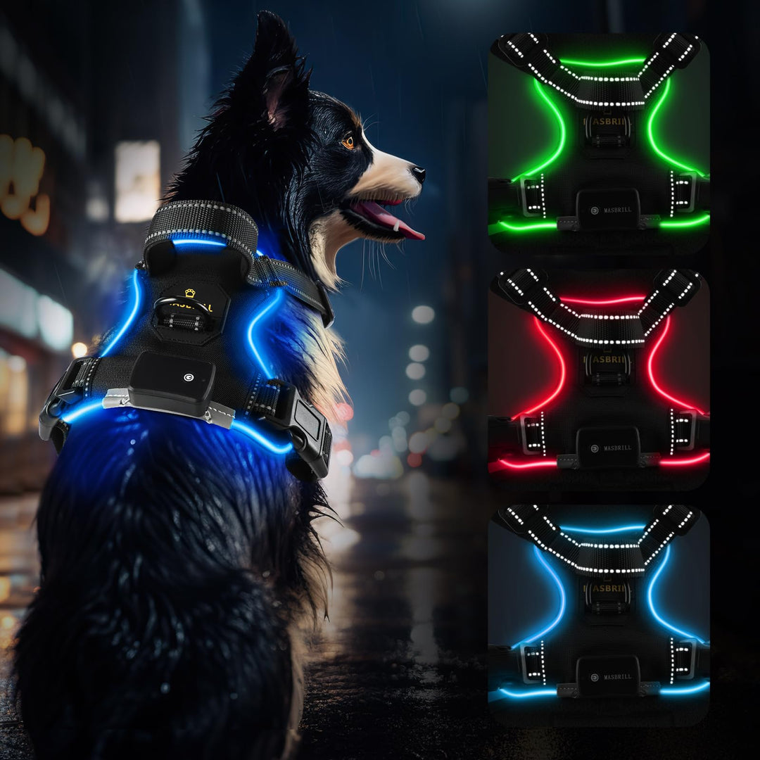 MASBRILL Hundegeschirr Leuchtend Aufladbar, LED Verstellbar Reflektierend mit Griff, Weich Gepolster