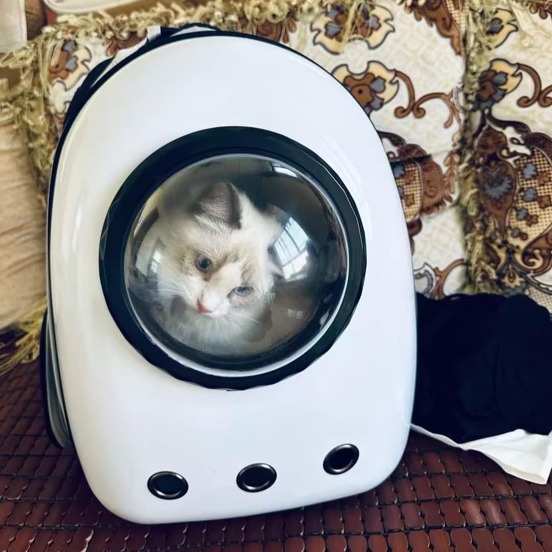 PARENCE - Transportrucksack für kleine Hunde und Katzen - Moderne Tasche mit transparentem Fenster,