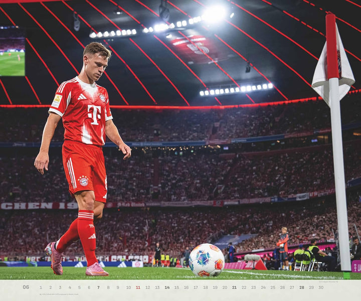 N Neumann - FC Bayern München 2026 – Wandkalender 60x50 cm mit 12 Monatsblättern, deutschem Kalendar
