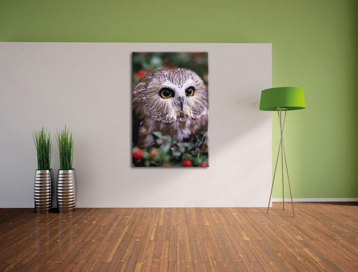 Pixxprint Eule im Vogelbeerenstrauch als Leinwandbild/Grösse: 100x70 / Wandbild/Kunstdruck/fertig be