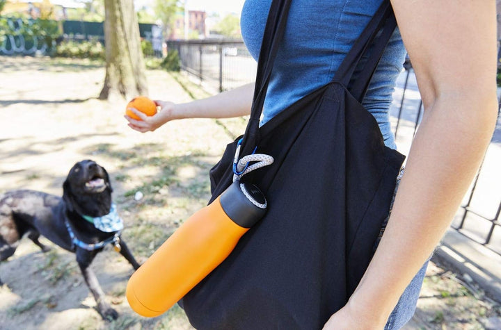 Zoku Trinkflasche 530 ml, Edelstahl, Orange, 7.2 x 7.2 x 24.4 cm, Orange