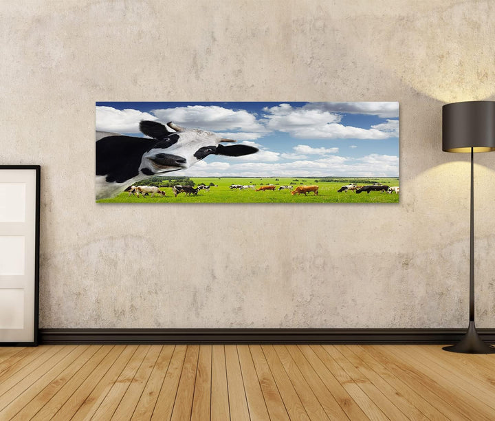islandburner Bild auf Leinwand Lustige Kuh Auf Ländlicher Wiese Bilder Wandbilder Poster Leinwand 12