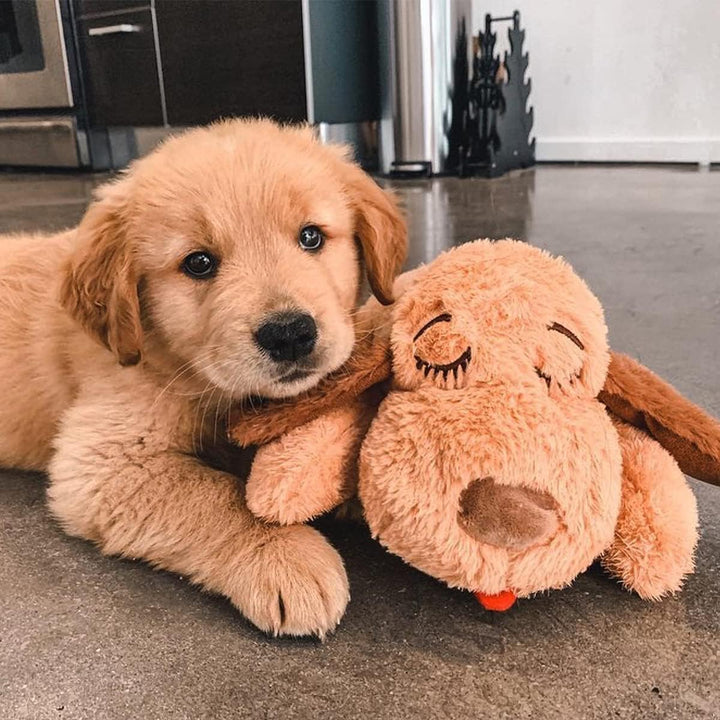 Smart Snuggle Puppy Willkommenspaket - Unisex neutral, neutral