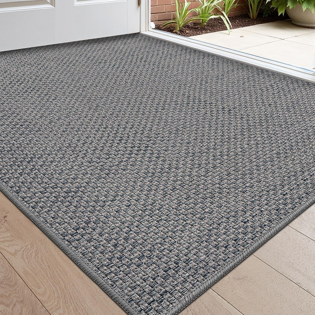 DEXI Schmutzfangmatte Innen 61 x 92 cm, rutschfest Fussmatte waschbar, absorbierend Fussmatte, Dünne