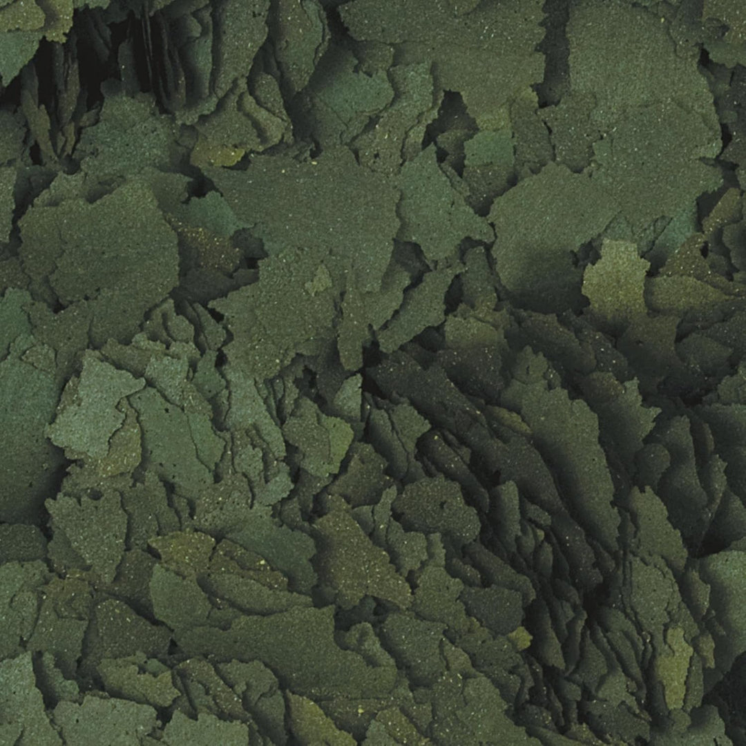 Tropical Super Spirulina Forte Flockenfutter mit 36% Spirulina (Platensis) Anteil, 1er Pack (1 x 11