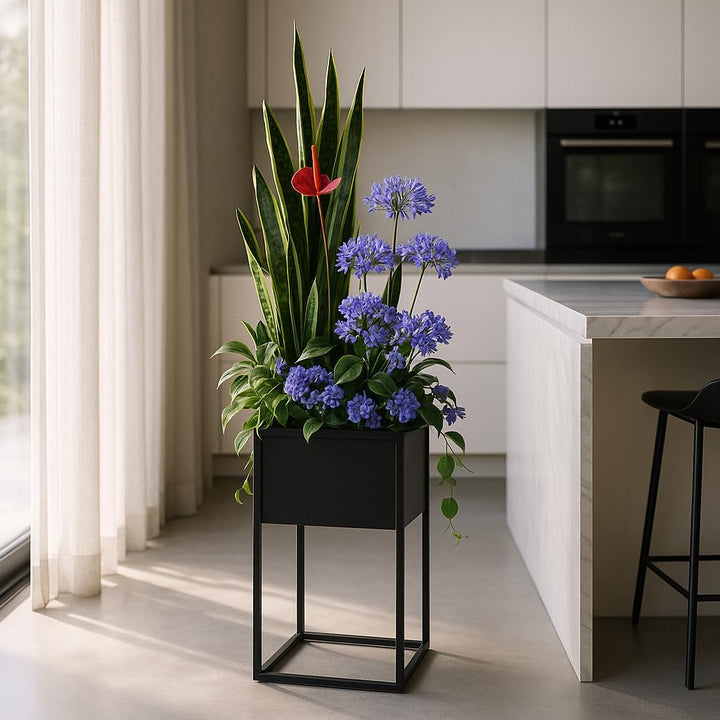 Pflanzenständer Petto - 40x30x60cm - Farbe Schwarz - für Zimmerblumen - Metallregal - Dekorativer Ti