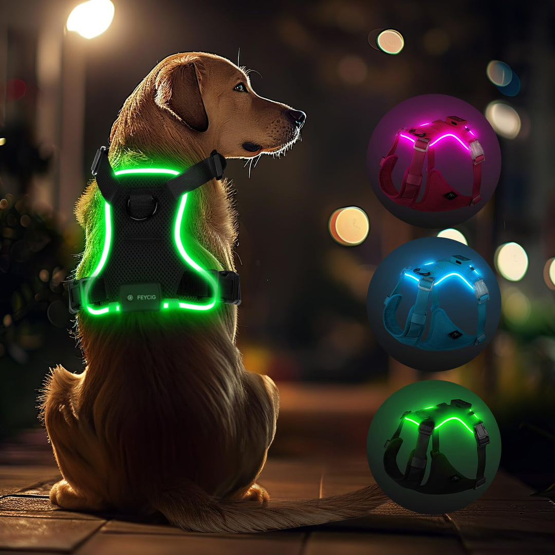 Feycig Hundegeschirr Leuchtend für Grosse Hunde - LED Hundegeschirr Aufladbar Einstellbar Reflektier