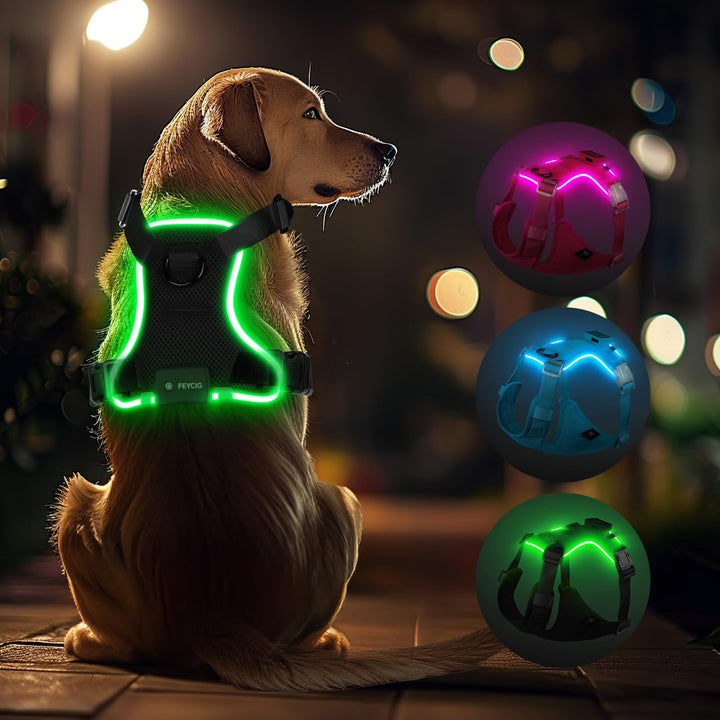 Feycig Hundegeschirr Leuchtend für Grosse Hunde - LED Hundegeschirr Aufladbar Einstellbar Reflektier