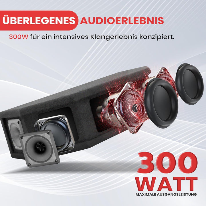 PylePro 300 Watt DJ Lautsprecher Boxen, Party Lautsprecher Passiv Robuste PA Box als Musikanlage 6-W