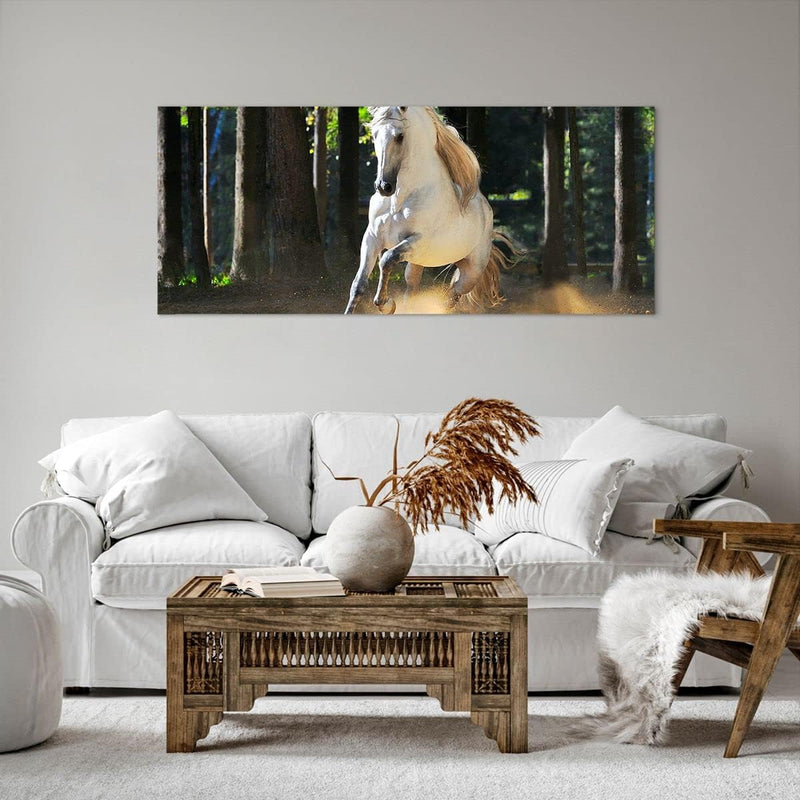 Wandbilder Dekoration Wohnzimmer Staub Emotionen Pferd Natur Panorama Bilder auf Leinwand 120x50cm L